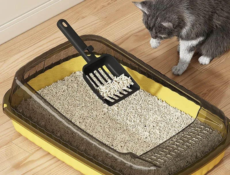 GRS PP 猫用トイレは猫の飼い主の最大の不満を解決できるでしょうか?